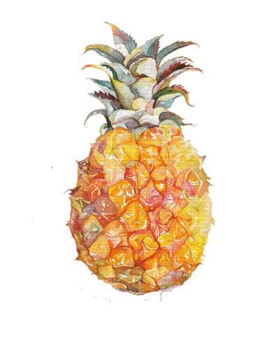 pineapple Bb2 - Free PNG