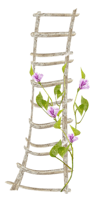 Kaz_Creations Ladders - darmowe png
