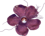 Fleur Violet:) - PNG gratuit