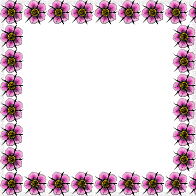 cadre frame fleur - ücretsiz png