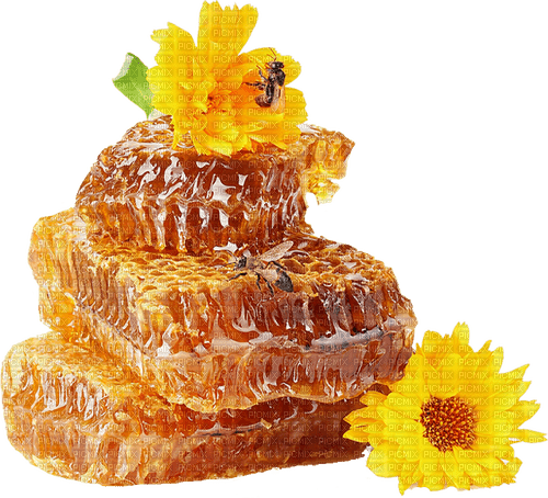 honey, honeycomb sunshine3 - безплатен png