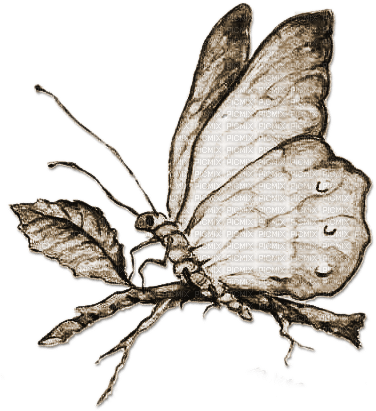 soave deco butterfly branch vintage sepia - PNG gratuit