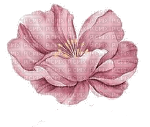vintage pink flower deco - zdarma png