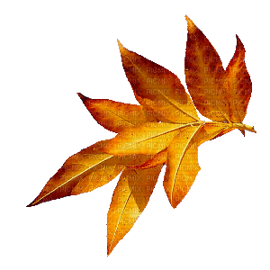 leaves gif (created with gimp) - Безплатен анимиран GIF