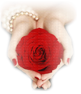 ruža, ruka - Free PNG