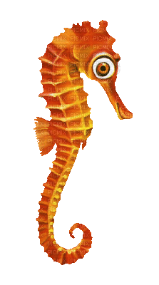 fish deco - Nemokamas animacinis gif