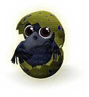 Raven Baby - 免费PNG