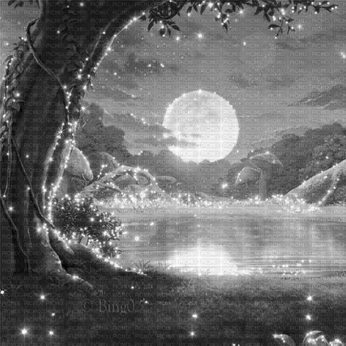 Y.A.M._Fantasy Landscape moon black-white - GIF animé gratuit