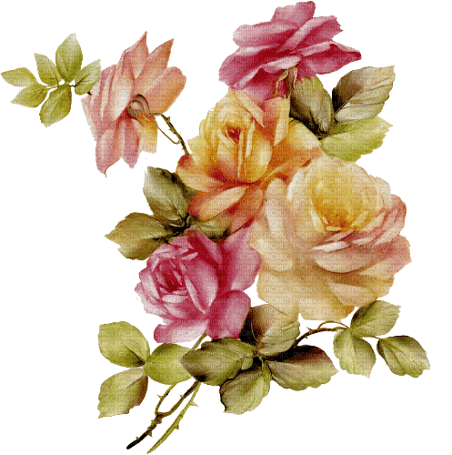 Garda Lake Flower  Rose - png gratis
