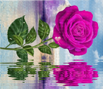 rosas - Nemokamas animacinis gif