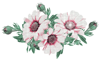 soave deco flowers branch animated pink green - Gratis animeret GIF