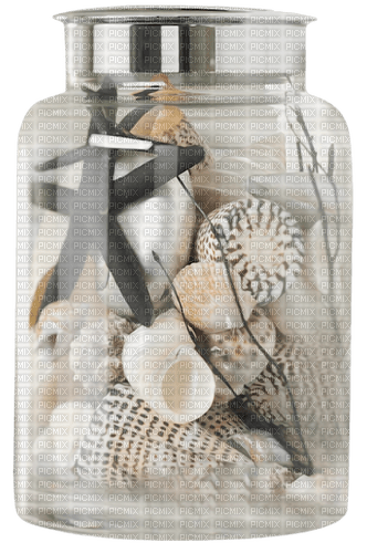 Bottle with shells.Coquilles.Victoriabea - kostenlos png