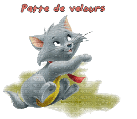 patte de velours pour toi! - Ücretsiz animasyonlu GIF