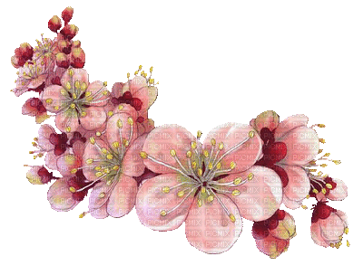 Blumen - Бесплатный анимированный гифка