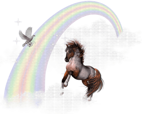 dolceluna fantasy horse dove rainbow - PNG gratuit