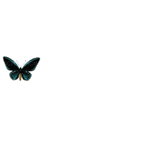 papillom,borboleta gif-l - Bezmaksas animēts GIF