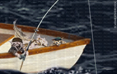 fishing bp - Bezmaksas animēts GIF