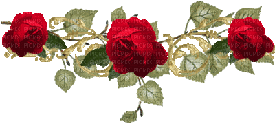 rose barre - Besplatni animirani GIF