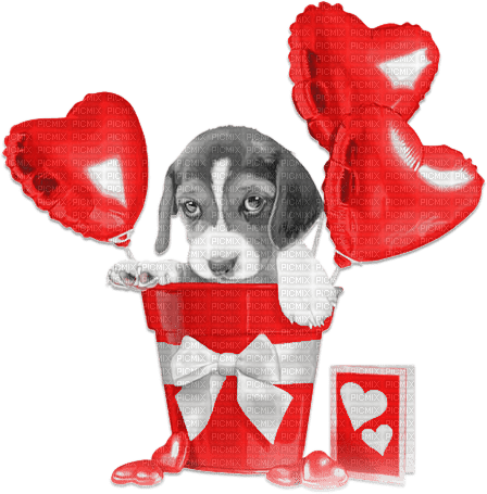soave deco valentine heart balloon animals dog - безплатен png