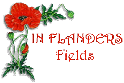 poppy flowers bp - Ilmainen animoitu GIF