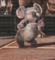 koala - Ilmainen animoitu GIF