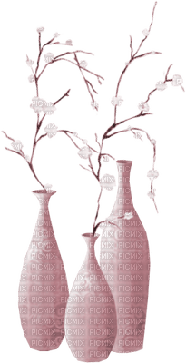 vázy - png grátis