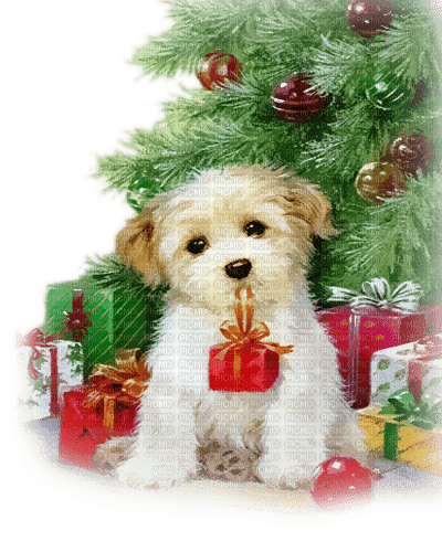 soave dog animals tree chrstmas red green - фрее пнг