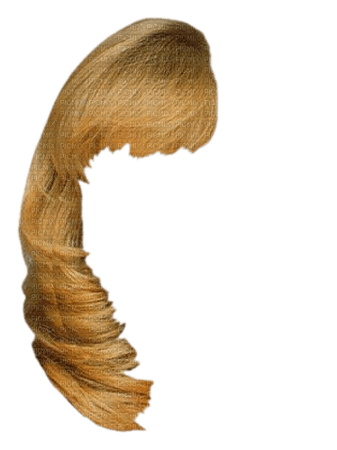 cheveux (droite) - 無料png