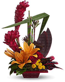 Kaz_Creations  Flowers Vase Plant - безплатен png