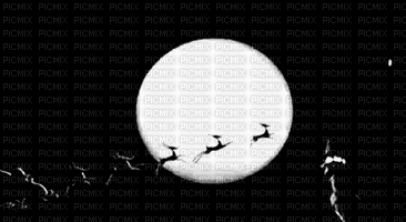 santa coming - 無料のアニメーション GIF