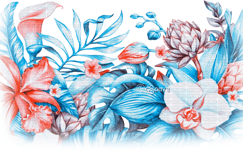 soave  deco border summer tropical  flowers - ilmainen png