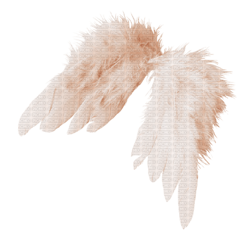 angel wings - besplatni png
