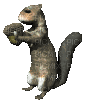 squirrel eating acorn nut - Δωρεάν κινούμενο GIF