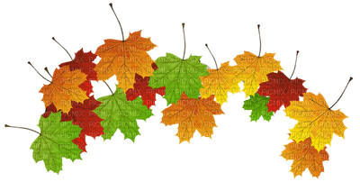 Kaz_Creations Autumn Fall Leaves Leafs - 免费PNG