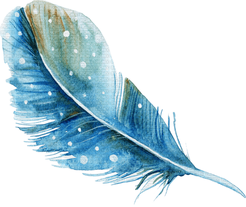 feather Bb2 - PNG gratuit
