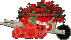 valentines day roses - GIF animasi gratis