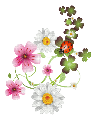 soave deco branch animated spring flowers patrick - GIF animado grátis