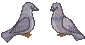 Pigeons - Бесплатный анимированный гифка