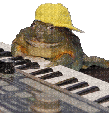 dj froggy - 免费动画 GIF