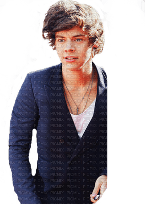 Kaz_Creations Harry Styles One Direction Singer Band Music - PNG gratuit
