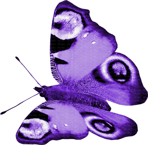 Kaz_Creations Purple-Deco-Butterfly - δωρεάν png