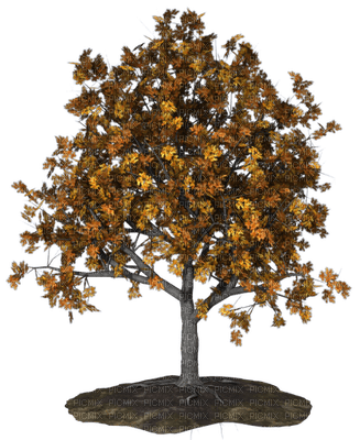 Kaz_Creations Trees Tree - darmowe png
