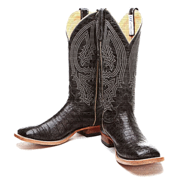 Western Cowboy Boots - Gratis animeret GIF