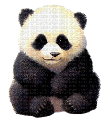 PANDA - Gratis geanimeerde GIF