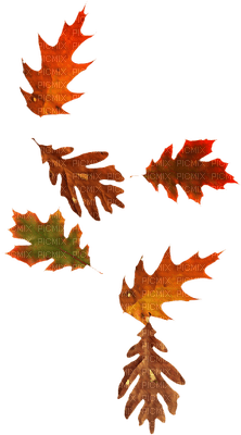 autumn-leaf-blad-minou52 - kostenlos png