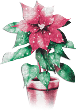 soave deco flowers vase christmas winter pink - Free PNG