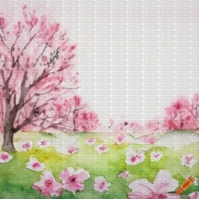 Sakura Field - фрее пнг