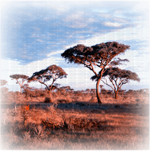 africa milla1959 - nemokama png