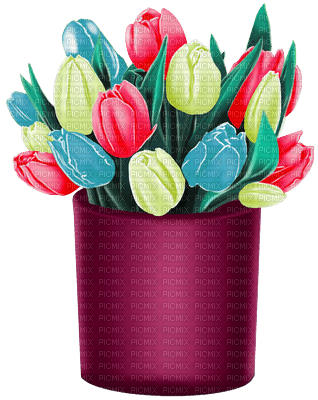 tulips Bb2 - png gratuito