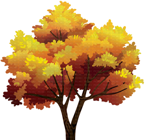 Fall Tree-RM - фрее пнг